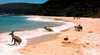 Coastal Wilderness Tour