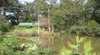 Little Forest Country Cottages