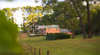 Mantons Creek Vineyard