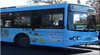 City Sights Hop On Hop Off Tour