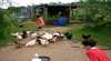 Bunyip Springs Farmstay