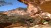 Tread Lightly Eco Tours