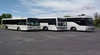 Cowra Bus Service and Cowra Travel