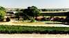 Irvine Wines