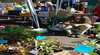 MARKETS - Blue Mountains - Oberon and Lithgow