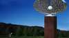 Sculpture in the Vineyards