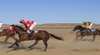 Julia Creek Races