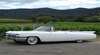 Hunter Valley Cadillac Tours