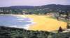 Avoca Beach