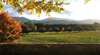 Boyntons Feathertop Winery