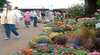 The Gardening and Rare Plants Expo