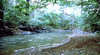 Capricorn Coast National Park