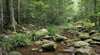 Amamoor State Forest