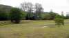 Brooyar State Forest