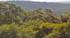 Conondale National Park