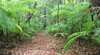 Delicia Road Conservation Park