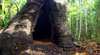 Tewantin National Park