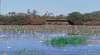 Free Guided Walks, Talks and Activities - Kakadu National Park