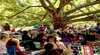 Mossvale Music Festival