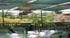 Kuranda Trading Post Tourism Complex