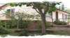 Lorikeet Cottage