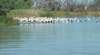 Lake Ross
