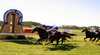 Coonabarabran Cup
