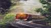 Illawarra Scenic Mountain Railway - Cockatoo Run Tours