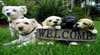 Wagtail Cottage BandB for People and Pets