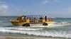 Surf and Sand Safari Larc Tours