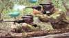 National Paintball Fields