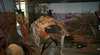 Mareeba Heritage Museum and Tourist Information Centre