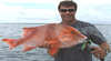 Escape Sportfishing and Wilderness Lodge