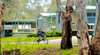 Yarraby Holiday Park