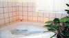 Trethorney Hill Bed & Breakfast