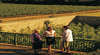 The Barossa