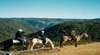 Blue Mountains Horse Riding Adventure Tours