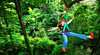 Jungle Surfing Canopy Tours