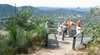 Mapleton Forest Reserve