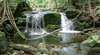 Tonys Tropical Tours