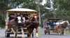 Hunter Valley Wine and Dine Carriages