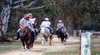 Werriberri Trail Rides