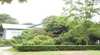 Tree Tops Guesthouse
