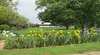 Bathurst Farmstay