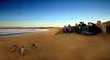 Australian Pacific Touring