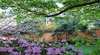 Fernbrook Garden and Botanical Art Gallery