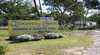 Discovery Coast Caravan and Camping Park