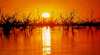Broken Hill City Sights Tours