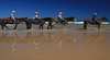 Sahara Trails Horse Riding and Farmstay Accommodation