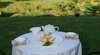 Eumundi Kindred Spirits Bed And Breakfast